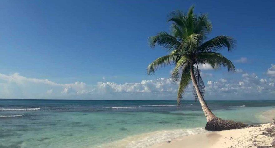 Tropical beach sounds
